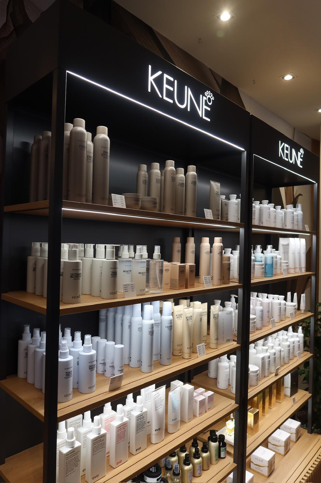 Discover Bloom Aberdeen 5